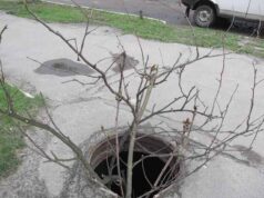 Маю пропозицію… Маю пропозицію...