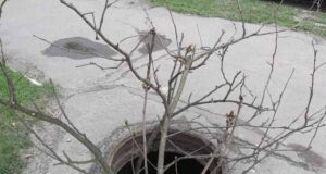 Маю пропозицію… Маю пропозицію...