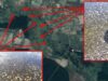 На заплавах річки Західний Буг масово гине риба! На заплавах річки Західний Буг масово гине риба!