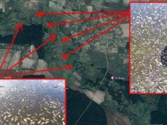 На заплавах річки Західний Буг масово гине риба! На заплавах річки Західний Буг масово гине риба!