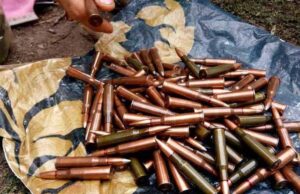 У 70-річного дідуся з Нововолинська вилучили пакет набоїв У 70-річного дідуся з Нововолинська вилучили пакет набоїв