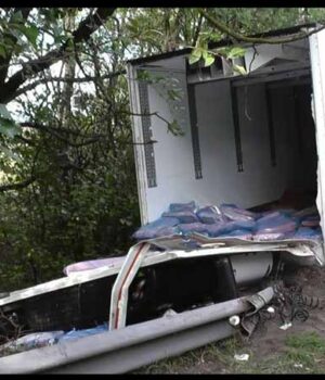 newsphoto_0_0 На пагорбі біля села Дігтів аварія: фарш із фури висипало просто на дорогу (відео)