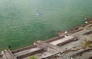 Чоловік, труп якого знайшли в озері Нововолинська, місцевий мешканець – поліція Чоловік