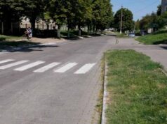 У Нововолинську оновлений пішохідний перехід веде у газон. ФОТО У Нововолинську оновлений пішохідний перехід веде у газон. ФОТО