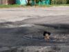 Як виглядає ямковий ремонт вулиці в Нововолинську, під час якого асфальт втоптували ногами Як виглядає ямковий ремонт вулиці в Нововолинську
