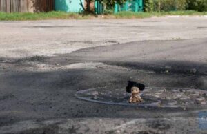 Як виглядає ямковий ремонт вулиці в Нововолинську, під час якого асфальт втоптували ногами Як виглядає ямковий ремонт вулиці в Нововолинську