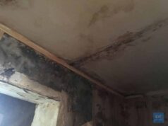 У Нововолинську сім’я з дитиною живе у квартирі, де суцільні пліснява та грибок. ФОТО У Нововолинську сім'я з дитиною живе у квартирі