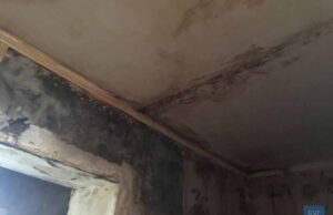 У Нововолинську сім’я з дитиною живе у квартирі, де суцільні пліснява та грибок. ФОТО У Нововолинську сім'я з дитиною живе у квартирі