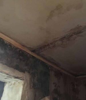 photo5222245787860316291 У Нововолинську сім'я з дитиною живе у квартирі