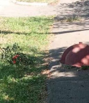 Стали на кришку