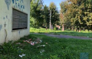 У нововолинському парку валяються десятки пачок з-під лікарського препарату та упаковки зі шприців У нововолинському парку валяються десятки пачок з-під лікарського препарату та упаковки зі шприців