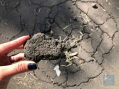 Нещодавно відремонтована дорога на вул. Сірка у Нововолинську вже розвалюється Нещодавно відремонтована дорога на вул. Сірка у Нововолинську вже розвалюється