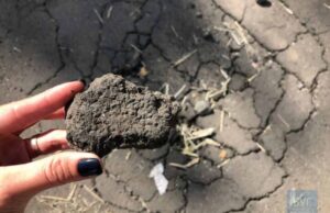 Нещодавно відремонтована дорога на вул. Сірка у Нововолинську вже розвалюється Нещодавно відремонтована дорога на вул. Сірка у Нововолинську вже розвалюється