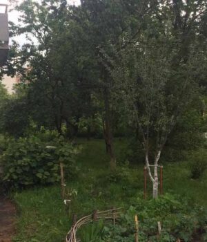 photo5452019193802239296 У Нововолинську з 9-го поверху впав чоловік