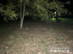 Уродженець Нововолинська, який зґвалтував дівчину у луцькому парку, визнав свою вину Уродженець Нововолинська