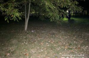 Уродженець Нововолинська, який зґвалтував дівчину у луцькому парку, визнав свою вину Уродженець Нововолинська