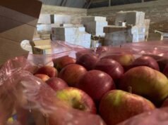 «Вітамінний» вантаж відправили з Волині до Ірпіня «Вітамінний» вантаж відправили з Волині до Ірпіня