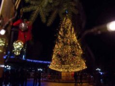 Цьогоріч у Нововолинську не буде головної ялинки Цьогоріч у Нововолинську не буде головної ялинки