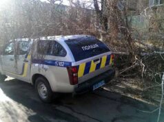 На автомобіль поліцейських впало дерево! (Відео) Аварія біля 4-ї шахти: не розминулись «ВАЗ» та «VW Caddy» (відео)