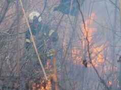 Спалювати суху рослинність у військовий час суворо заборонено! Спалювати суху рослинність у військовий час суворо заборонено!