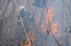 Спалювати суху рослинність у військовий час суворо заборонено! Спалювати суху рослинність у військовий час суворо заборонено!