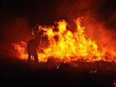 Вчора вночі горіли закинуті людські паї біля с.Верхнів! Вчора вночі горіли закинуті людські паї біля с.Верхнів!