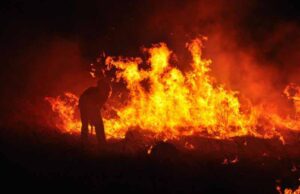 Вчора вночі горіли закинуті людські паї біля с.Верхнів! Вчора вночі горіли закинуті людські паї біля с.Верхнів!