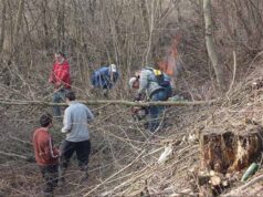 У Жовтневому наводили порядок вздовж в”їзної дороги У Жовтневому наводили порядок вздовж в"їзної дороги