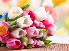 Вітаємо зі святом Весни – 8 березня! Вітаємо зі святом Весни - 8 березня!