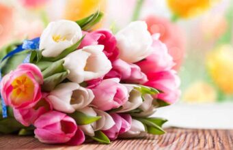 Вітаємо зі святом Весни – 8 березня! Вітаємо зі святом Весни - 8 березня!