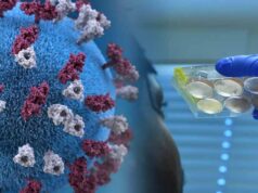 За добу у Нововолинську – 14 нових випадків COVID-19, одужало 30 людей За добу у Нововолинську - 14 нових випадків COVID-19