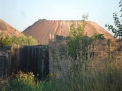 На териконі знайшли обгоріле тіло чоловіка: нові подробиці На териконі знайшли обгоріле тіло чоловіка: нові подробиці