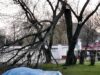На ліквідацію наслідків негоди, яка сталась 13 квітня, виділили майже 50 тисяч гривень На ліквідацію наслідків негоди