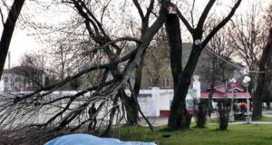 На ліквідацію наслідків негоди, яка сталась 13 квітня, виділили майже 50 тисяч гривень На ліквідацію наслідків негоди