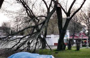 На ліквідацію наслідків негоди, яка сталась 13 квітня, виділили майже 50 тисяч гривень На ліквідацію наслідків негоди
