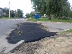 На одній з вулиць Нововолинська новопокладений асфальт обгородили… гілочками На одній з вулиць Нововолинська новопокладений асфальт обгородили... гілочками