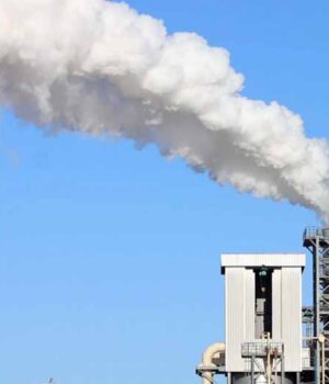 Президент Зеленський може особисто втрутитись в екологічну ситуацію