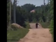 Стрілянина у повітря від спʼянілого порушника у Будятичах (ВІДЕО)