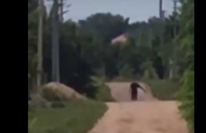 Стрілянина у повітря від спʼянілого порушника у Будятичах (ВІДЕО)