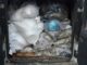 Допомога нововолинським солдатам (оновлюється) Допомога нововолинським солдатам (оновлюється)