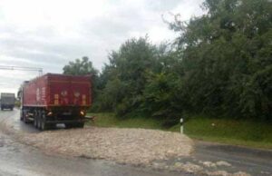 На автошляху Нововолинськ-Іваничі із вантажівки висипалися рештки курятини На автошляху Нововолинськ-Іваничі із вантажівки висипалися рештки курятини