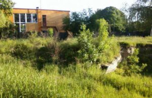 У Нововолинську вимагають прибрати хащі біля автостанції У Нововолинську вимагають прибрати хащі біля автостанції