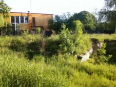 Відомо, хто розвів хащі біля автостанції у Нововолинську Відомо