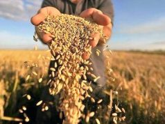 Наближаються жнива: нагадуємо правила безпеки під час збору зернових Наближаються-жнива:-нагадуємо-правила-безпеки-під-час-збору-зернових