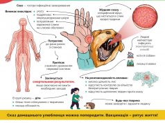 У Нововолинську безкоштовно вакцинують від сказу домашніх тварин У-Нововолинську-безкоштовно-вакцинують-від-сказу-домашніх-тварин