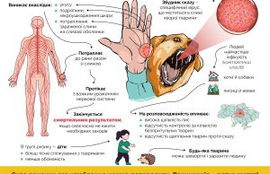 У Нововолинську безкоштовно вакцинують від сказу домашніх тварин У-Нововолинську-безкоштовно-вакцинують-від-сказу-домашніх-тварин