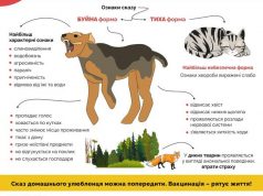 Обережно – СКАЗ! Обережно-–-СКАЗ!
