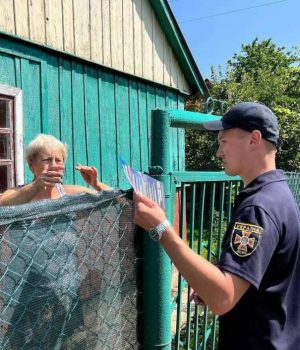 photo_5330320552440744768_y