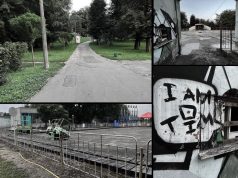 Влада міста розпочала відновлювати Міський парк: посаджено 4 акації на 32 тис. гривень