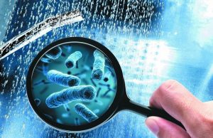 Профілактика легіонельозу: поради епідеміологів Профілактика-легіонельозу:-поради-епідеміологів